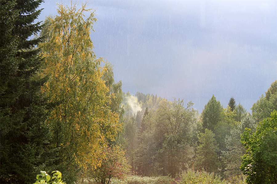 An aerial photo of the sculpture park.